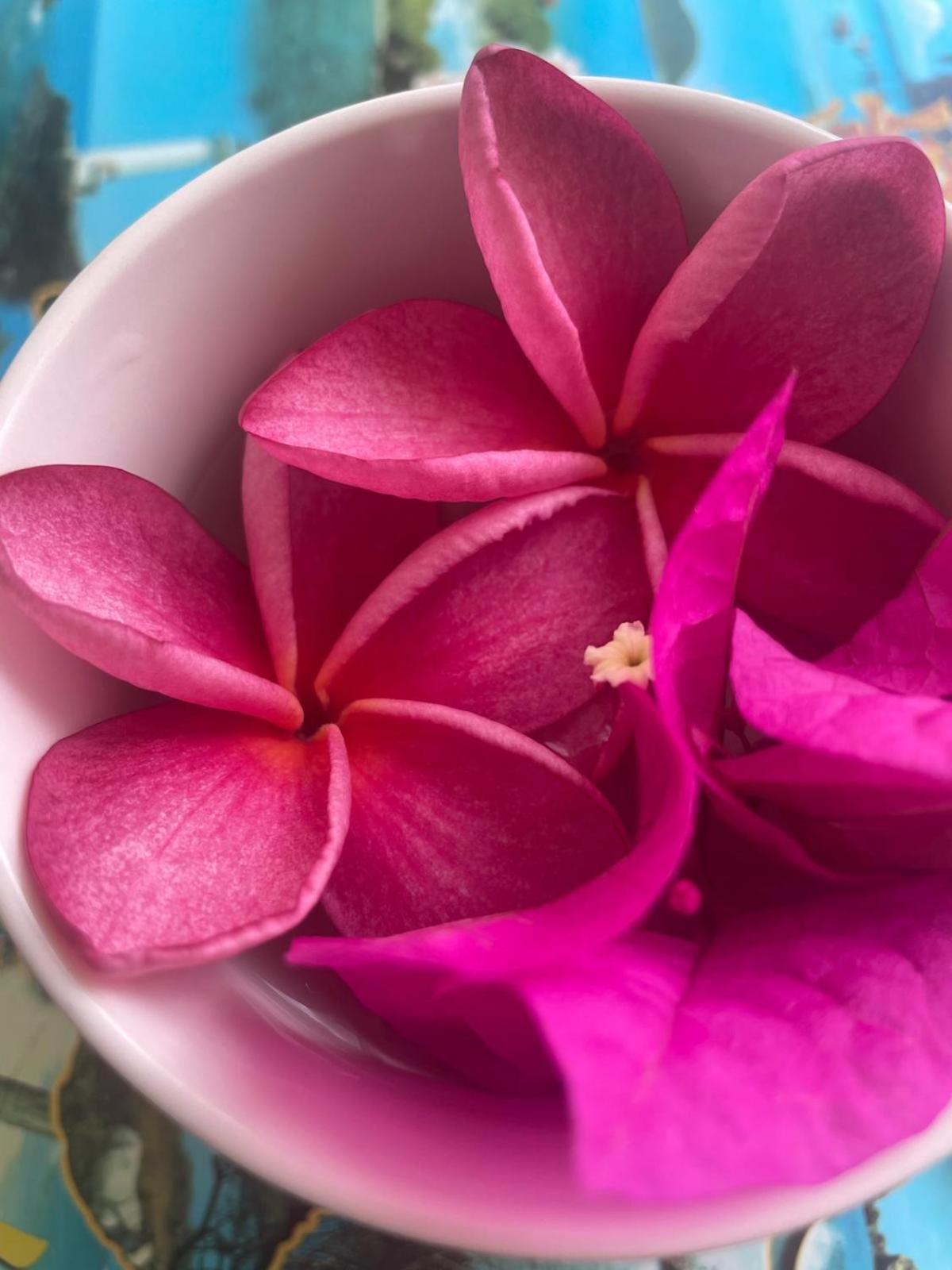 Studio Hibiscus Anse Des Rochers Saint Francois Esterno foto