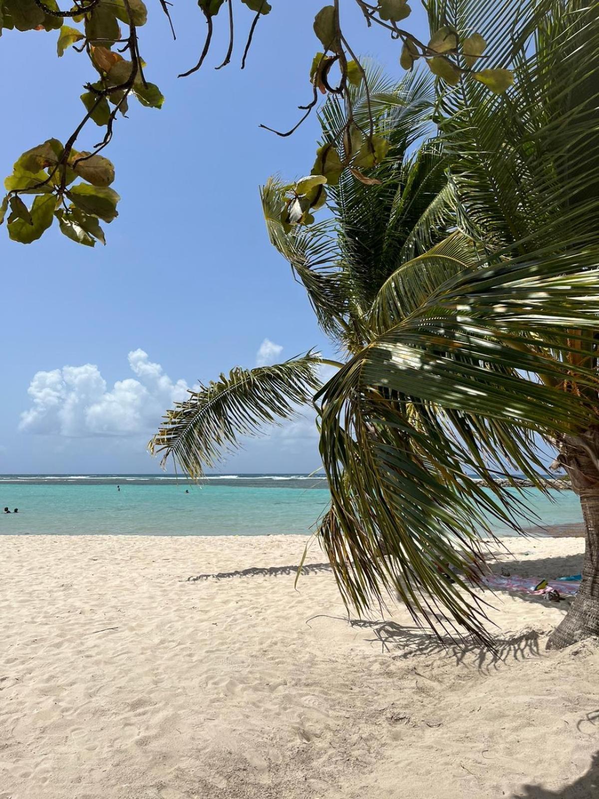 Studio Hibiscus Anse Des Rochers Saint Francois Esterno foto